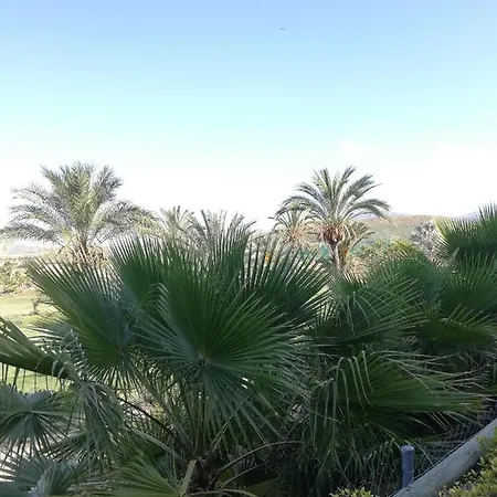 Bajo Con Jardin Propio En Valle Del Golf!! * Vera